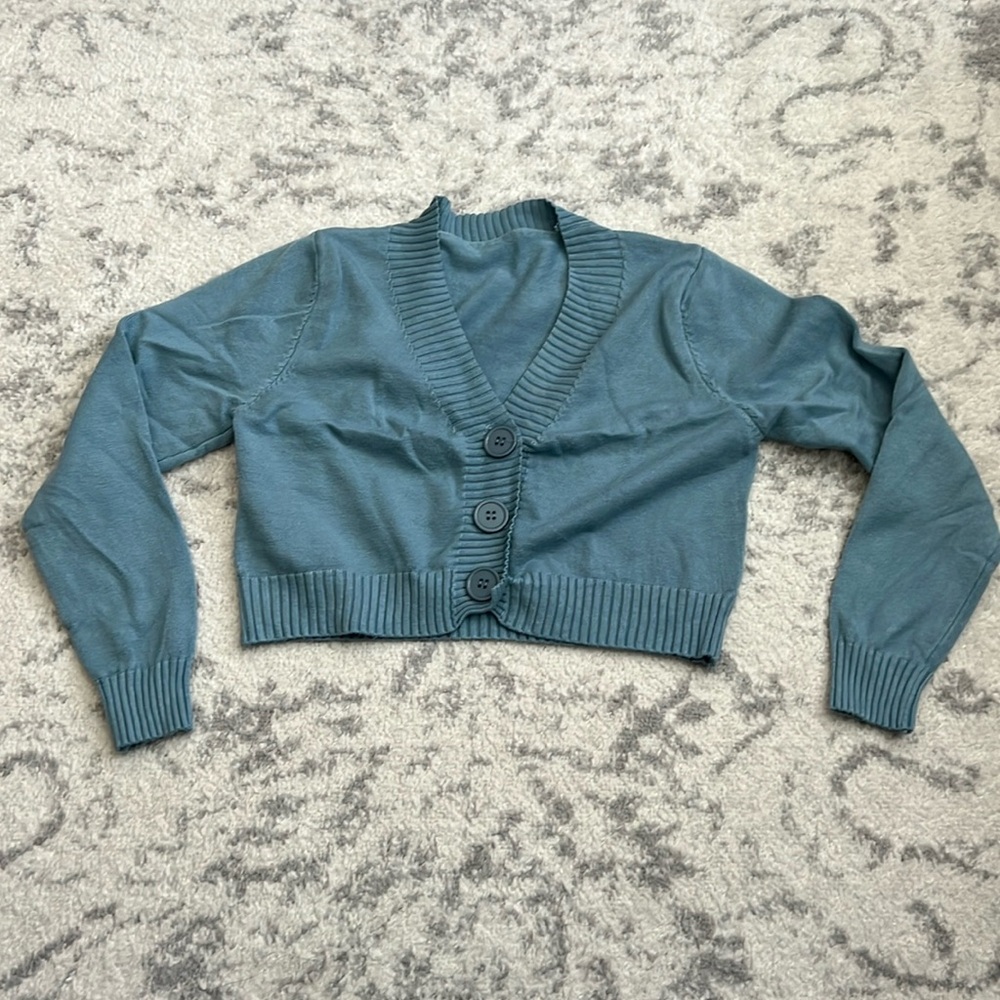 Blue Cardigan